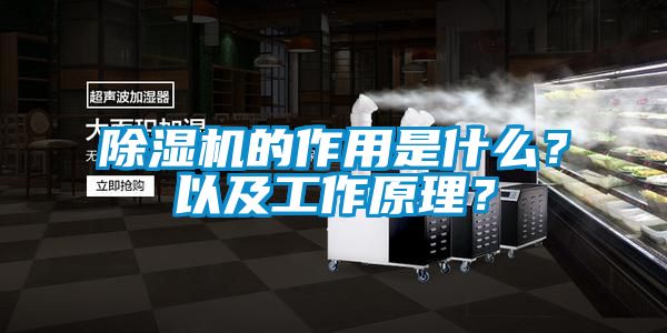除濕機的作用是什么？以及工作原理？