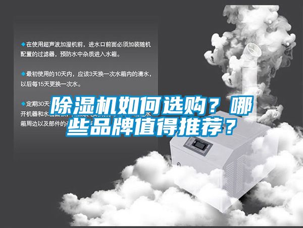 除濕機如何選購？哪些品牌值得推薦？