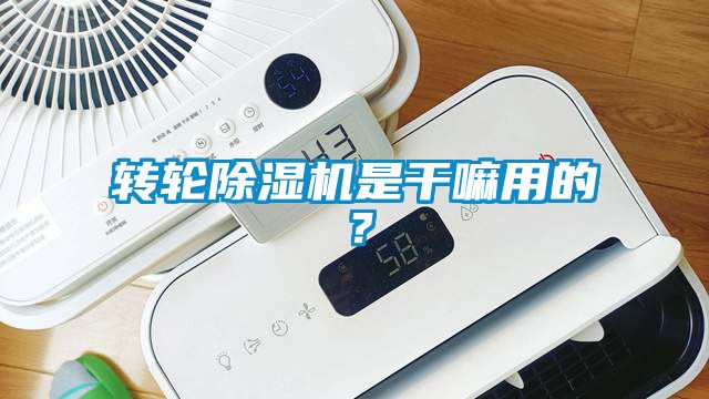 轉輪除濕機是干嘛用的？