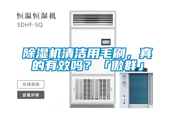除濕機清潔用毛刷，真的有效嗎？「傲群」