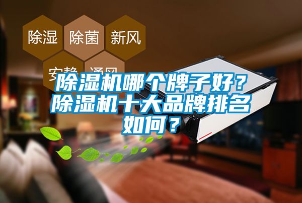 除濕機哪個牌子好？除濕機十大品牌排名如何？