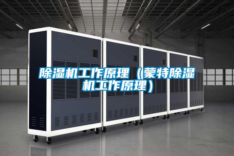 除濕機工作原理(蒙特除濕機工作原理)