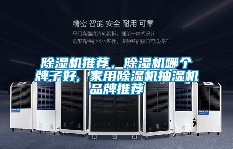 除濕機推薦，除濕機哪個牌子好, 家用除濕機抽濕機品牌推薦