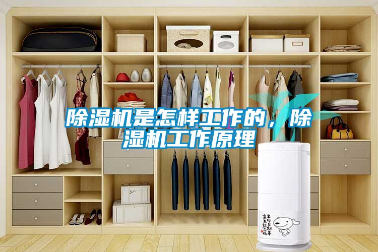 除濕機是怎樣工作的，除濕機工作原理