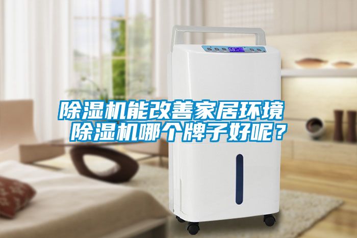 除濕機能改善家居環境 除濕機哪個牌子好呢？