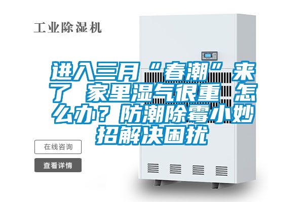 進入三月“春潮”來了 家里濕氣很重 怎么辦？防潮除霉小妙招解決困擾