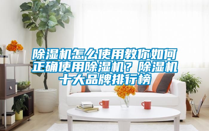 除濕機怎么使用教你如何正確使用除濕機？除濕機十大品牌排行榜
