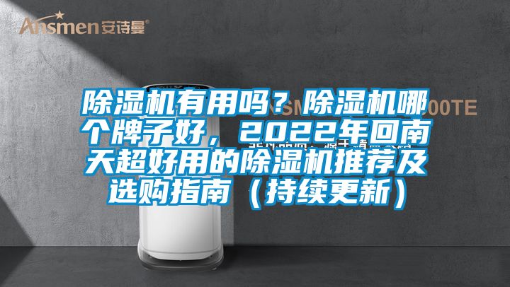 除濕機有用嗎？除濕機哪個牌子好，2022年回南天超好用的除濕機推薦及選購指南（持續更新）