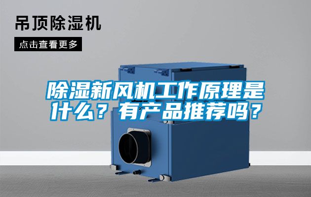 除濕新風機工作原理是什么？有產品推薦嗎？