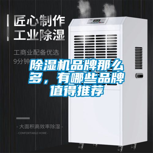 除濕機品牌那么多，有哪些品牌值得推薦