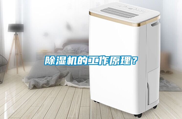除濕機的工作原理？