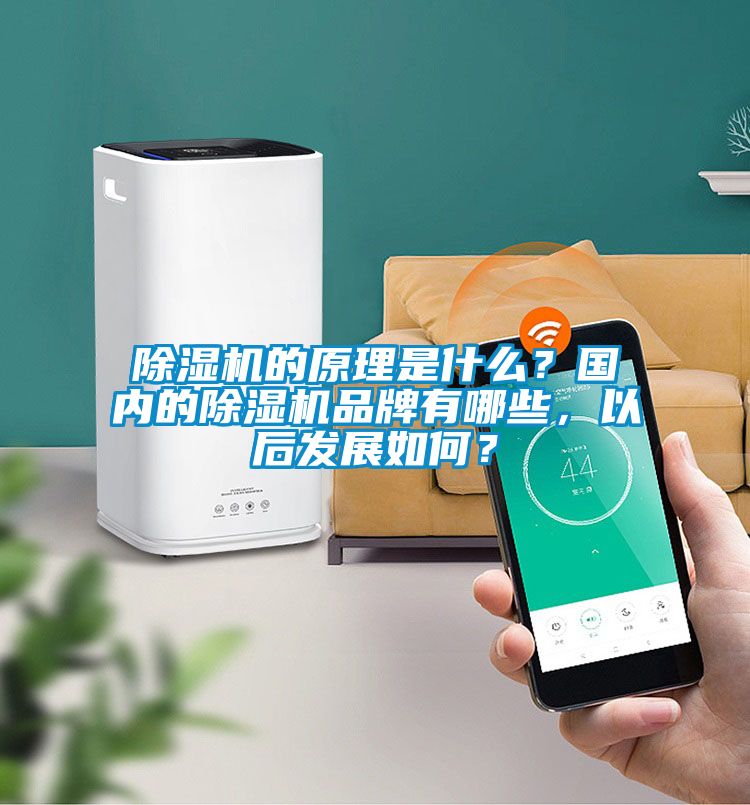 除濕機的原理是什么？國內的除濕機品牌有哪些，以后發展如何？