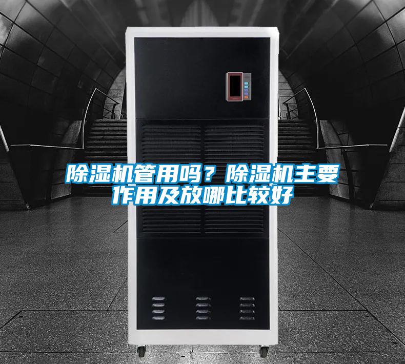 除濕機管用嗎？除濕機主要作用及放哪比較好