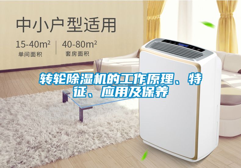 轉輪除濕機的工作原理、特征、應用及保養