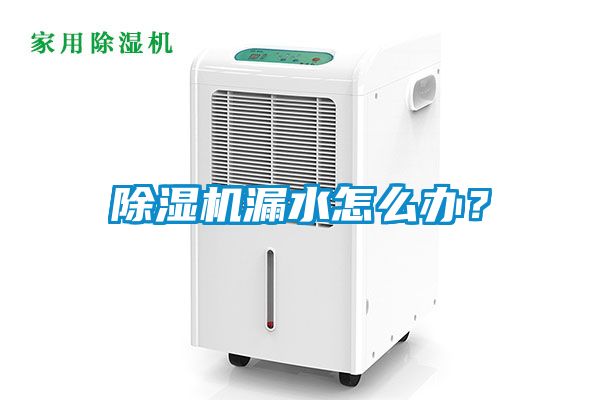 除濕機漏水怎么辦？