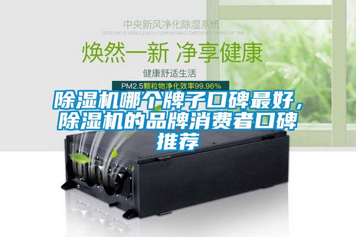 除濕機哪個牌子口碑最好，除濕機的品牌消費者口碑推薦