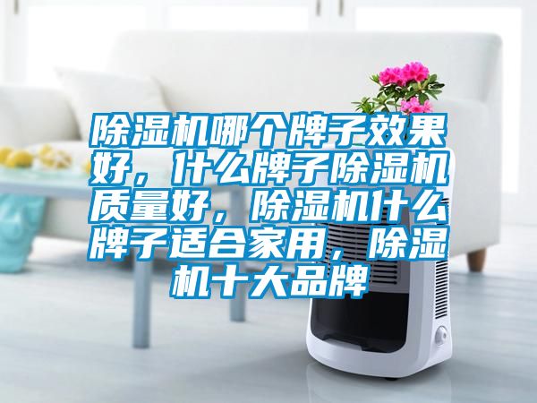 除濕機哪個牌子效果好，什么牌子除濕機質量好，除濕機什么牌子適合家用，除濕機十大品牌