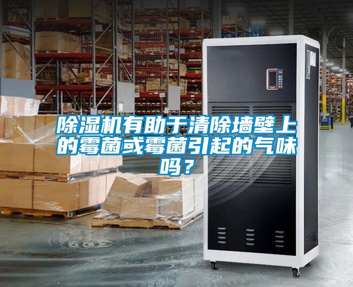 除濕機有助于清除墻壁上的霉菌或霉菌引起的氣味嗎？