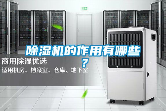 除濕機的作用有哪些？