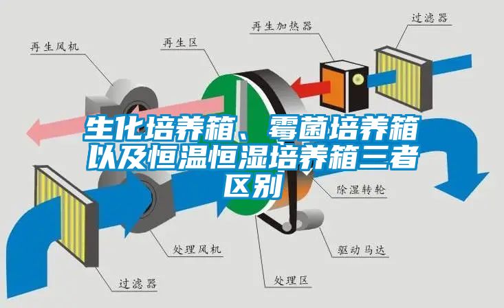 生化培養箱、霉菌培養箱以及恒溫恒濕培養箱三者區別