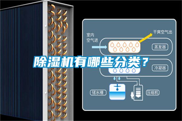 除濕機有哪些分類？