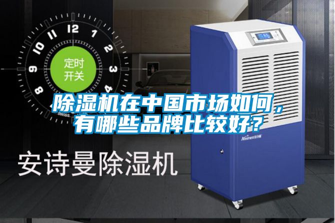 除濕機在中國市場如何，有哪些品牌比較好？