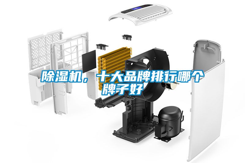 除濕機，十大品牌排行哪個牌子好
