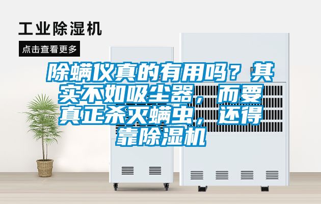 除螨儀真的有用嗎？其實不如吸塵器，而要真正殺滅螨蟲，還得靠除濕機