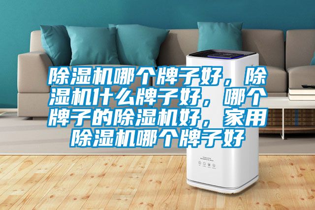 除濕機哪個牌子好，除濕機什么牌子好，哪個牌子的除濕機好，家用除濕機哪個牌子好