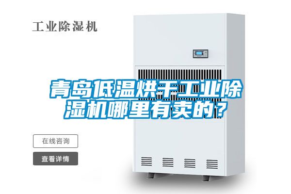 青島低溫烘干工業除濕機哪里有賣的？