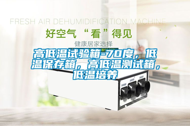高低溫試驗箱-70度，低溫保存箱，高低溫測試箱，低溫培養