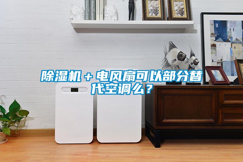 除濕機＋電風扇可以部分替代空調么？