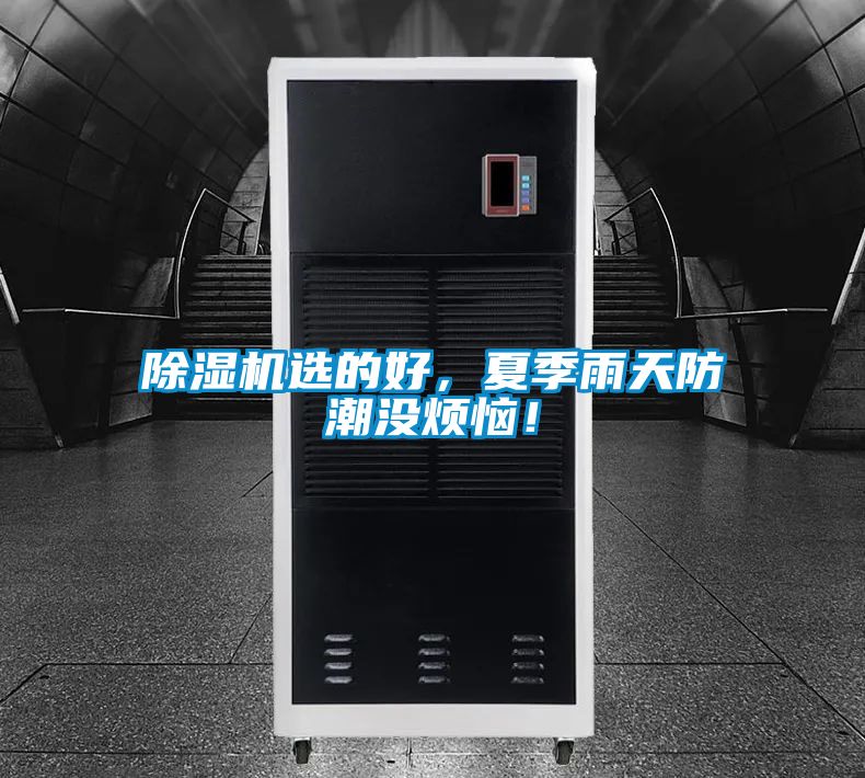 除濕機選的好，夏季雨天防潮沒煩惱！