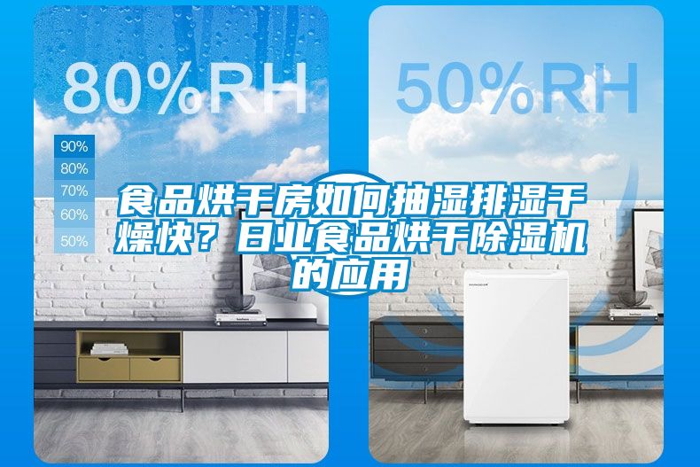 食品烘干房如何抽濕排濕干燥快？日業食品烘干除濕機的應用