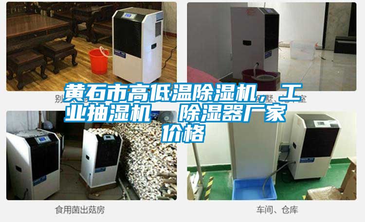 黃石市高低溫除濕機，工業抽濕機  除濕器廠家 價格
