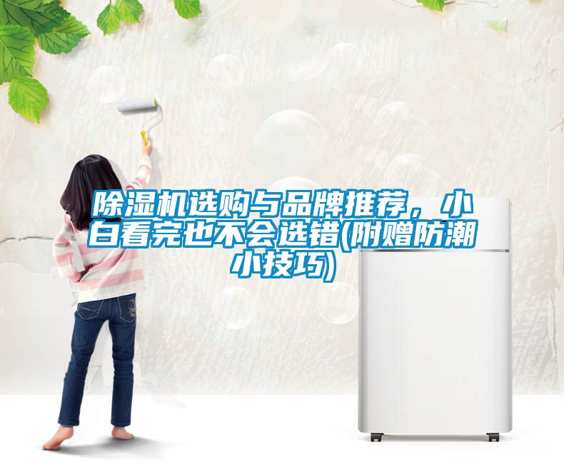 除濕機選購與品牌推薦，小白看完也不會選錯(附贈防潮小技巧)