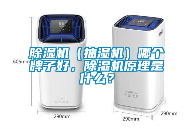除濕機（抽濕機）哪個牌子好，除濕機原理是什么？