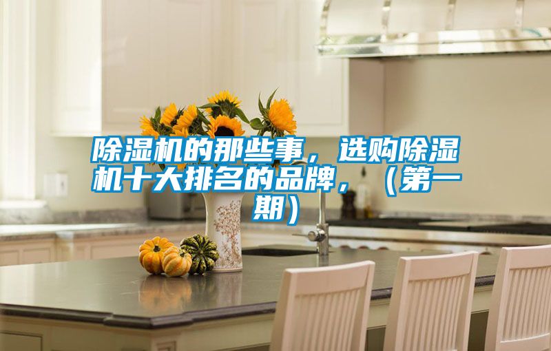 除濕機的那些事，選購除濕機十大排名的品牌，（第一期）