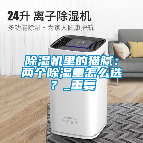 除濕機里的貓膩：兩個除濕量怎么選？_重復