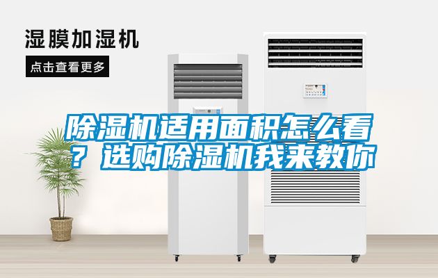 除濕機適用面積怎么看？選購除濕機我來教你