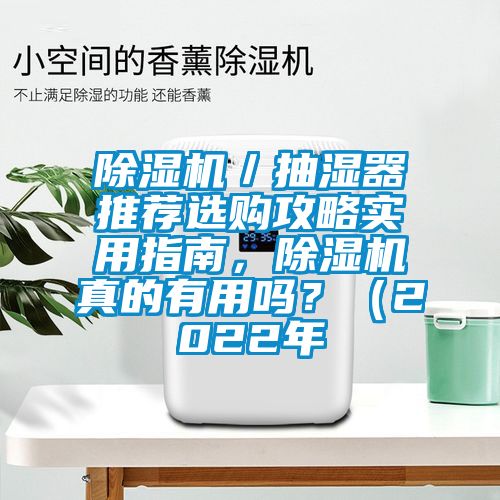 除濕機／抽濕器推薦選購攻略實用指南，除濕機真的有用嗎？（2022年