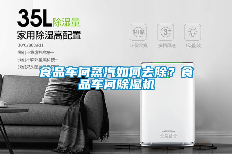 食品車間蒸汽如何去除？食品車間除濕機