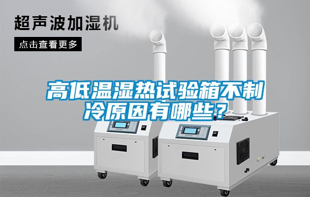 高低溫濕熱試驗箱不制冷原因有哪些？