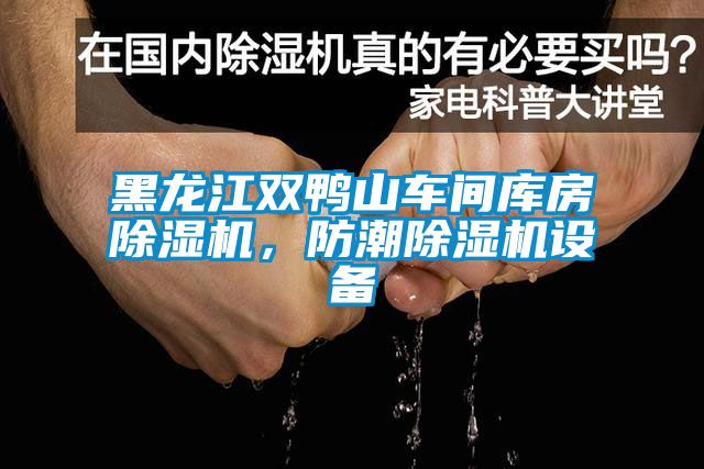 黑龍江雙鴨山車間庫房除濕機，防潮除濕機設備