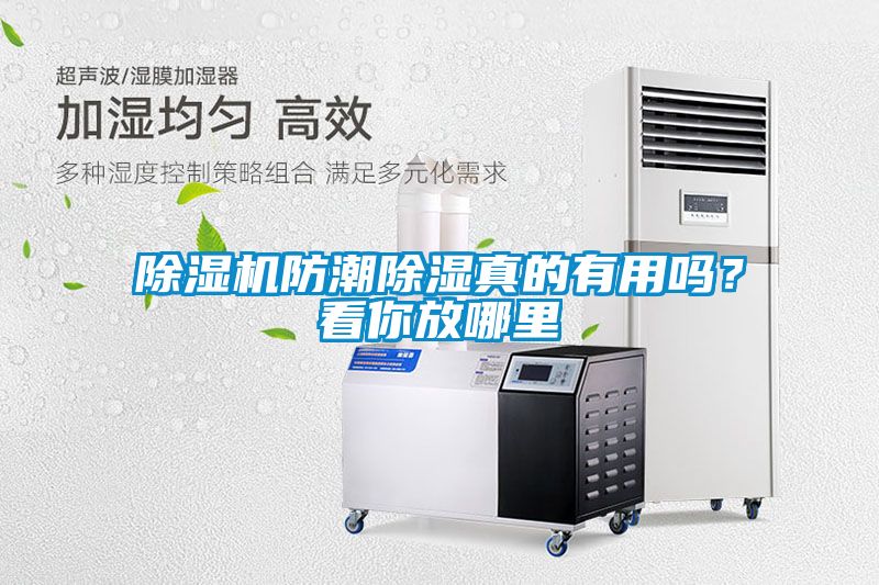 除濕機防潮除濕真的有用嗎？看你放哪里