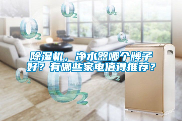 除濕機，凈水器哪個牌子好？有哪些家電值得推薦？