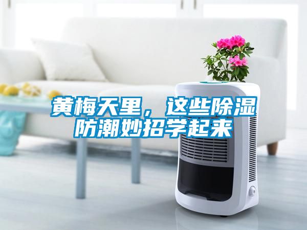 黃梅天里，這些除濕防潮妙招學起來