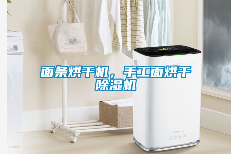面條烘干機，手工面烘干除濕機