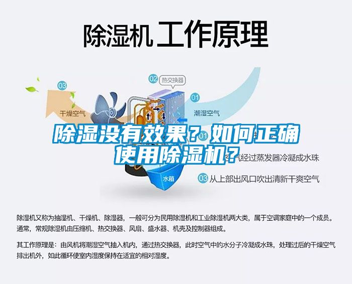 除濕沒有效果？如何正確使用除濕機？
