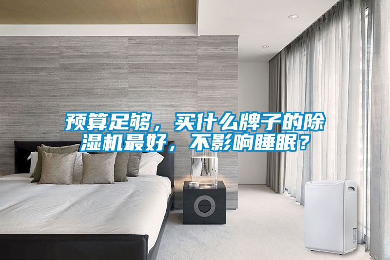 預算足夠，買什么牌子的除濕機最好，不影響睡眠？